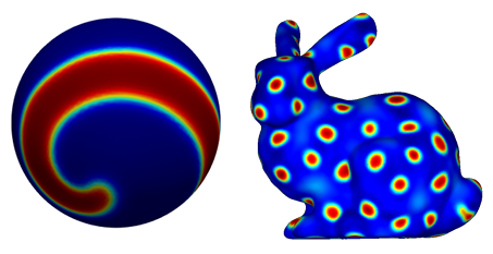  Figure 1.2: Illustrations of solutions to coupled reaction di usion PDEs Fitzhugh Nagumo spiral wave (left) on a unit sphere and Turing spots (right) on the Standford bunny.
